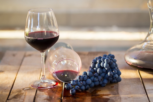 Vino rosso in bicchieri e uva