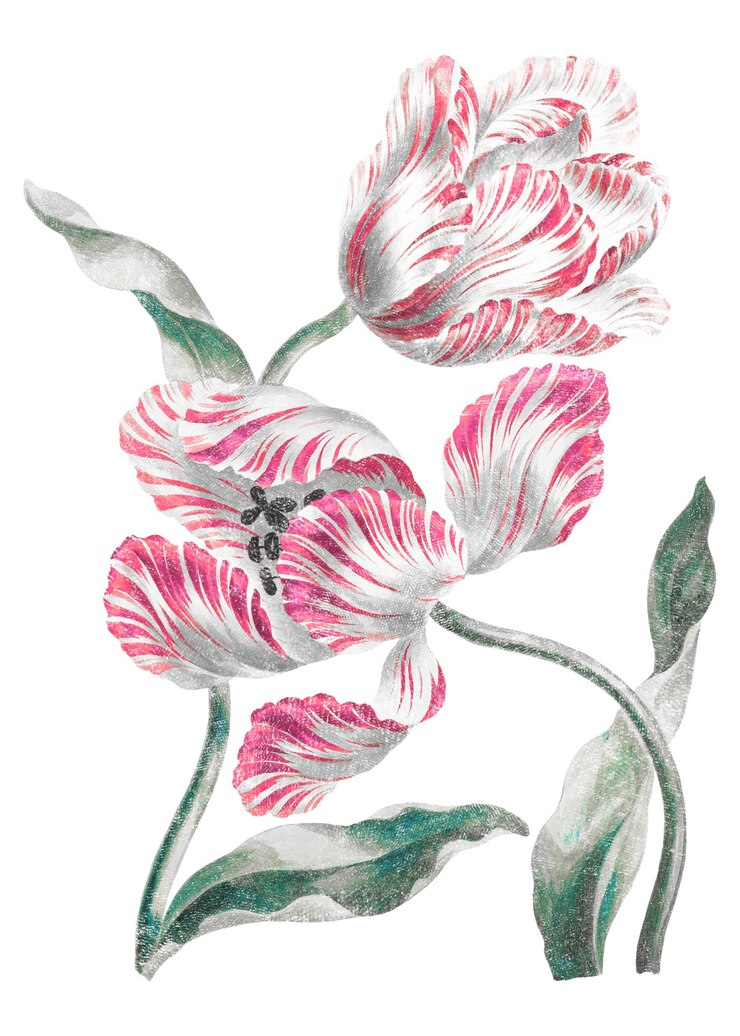 Foto vintage png tulipano adesivo estetico insetto grafico sfondo trasparente