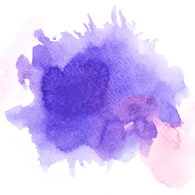 viola watercolor.image