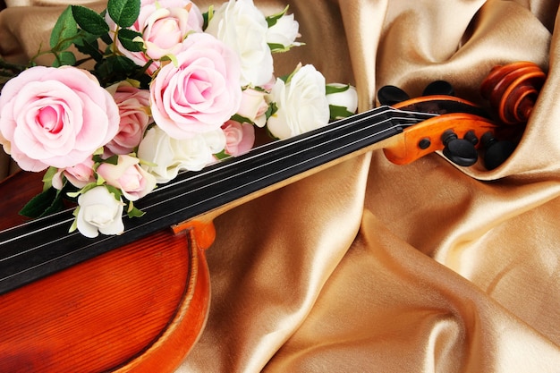 Violino classico su fondo in tessuto