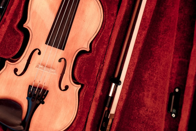 Violino e fiocco in astuccio rosso scuro.