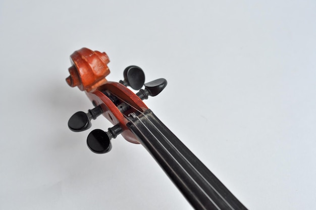 Violino Grif