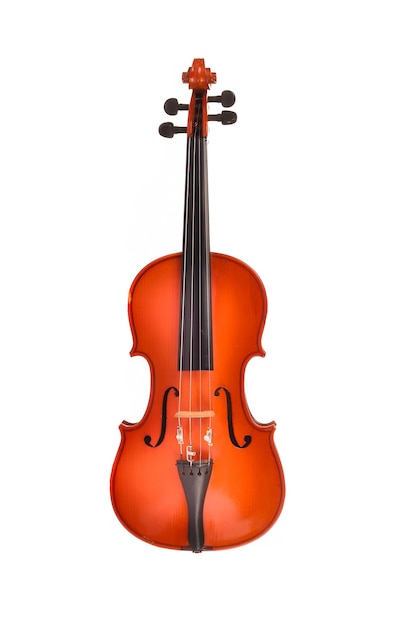 Violino su sfondo bianco