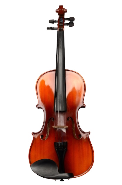 Violino su un bianco