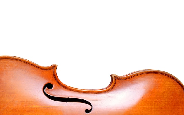 Violino