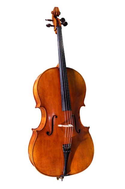 Violoncello professionale a sfondo bianco