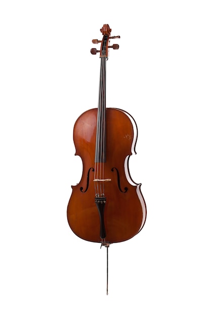 violoncello