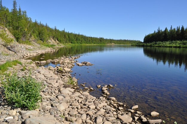 Virgin Komi foreste taiga fiume Paga