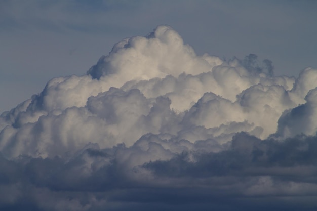 Vista a bassa angolazione del cielo nuvoloso