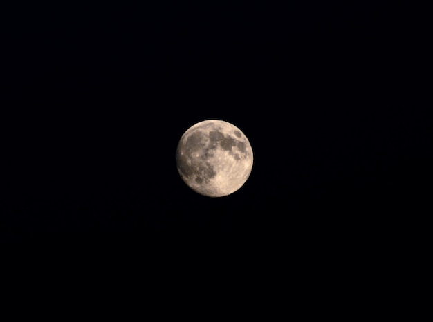 Vista a bassa angolazione della luna contro un cielo limpido di notte