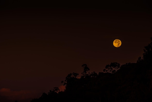 Vista a bassa angolazione della luna nel cielo notturno