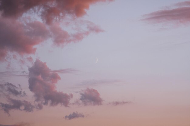 Vista a bassa angolazione della luna nel cielo