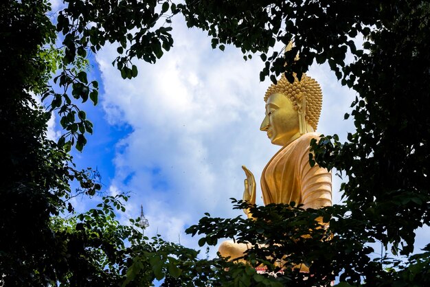 Vista a bassa angolazione della statua contro gli alberi contro il cielo