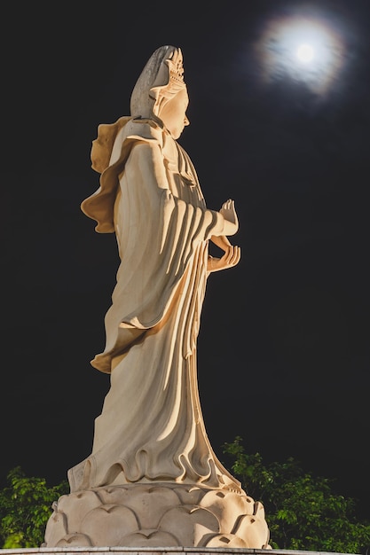 Vista a bassa angolazione della statua contro il cielo di notte