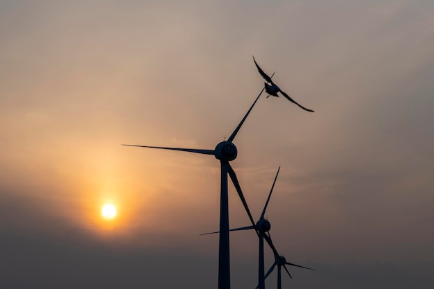 Vista a bassa angolazione delle turbine eoliche contro il cielo durante il tramonto