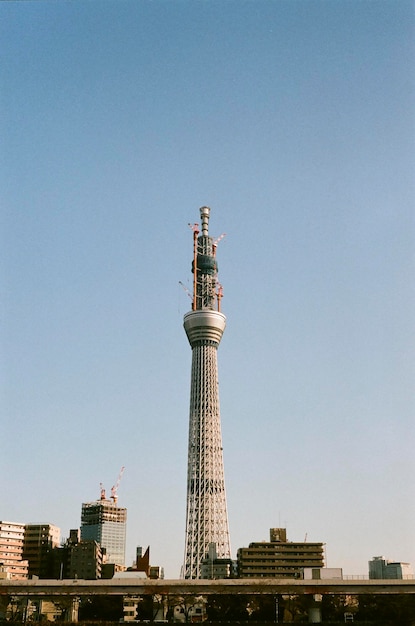 Vista a basso angolo degli edifici contro il cielo