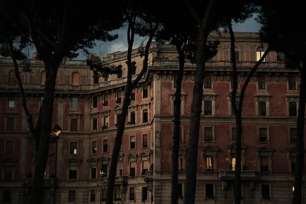 Vista a basso angolo degli edifici vicino agli alberi al crepuscolo