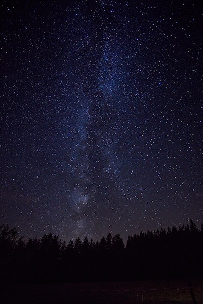 Vista a basso angolo del campo stellare contro il campo stellare