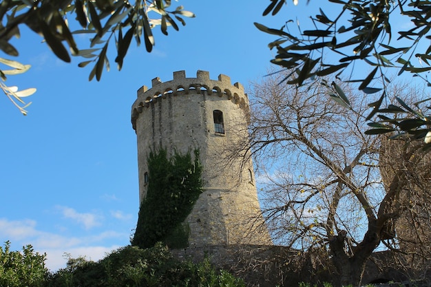 Vista a basso angolo del castello contro il cielo