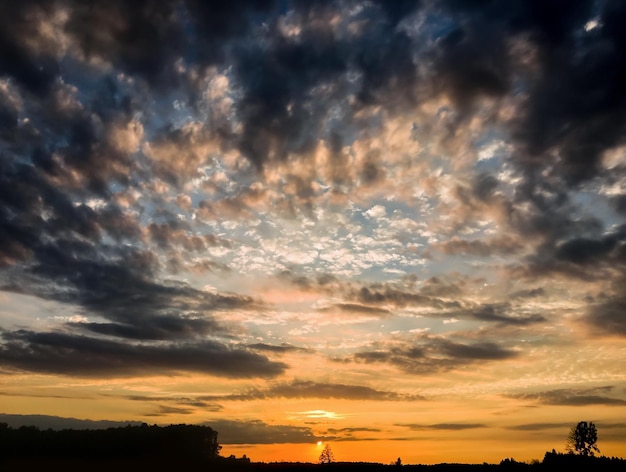Vista a basso angolo del cielo nuvoloso durante il tramonto