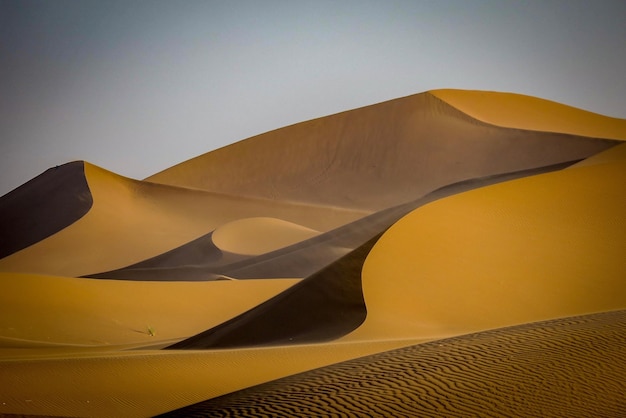 Vista a basso angolo del deserto contro un cielo limpido