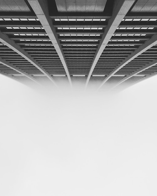 Vista a basso angolo del grattacielo in tempo di nebbia