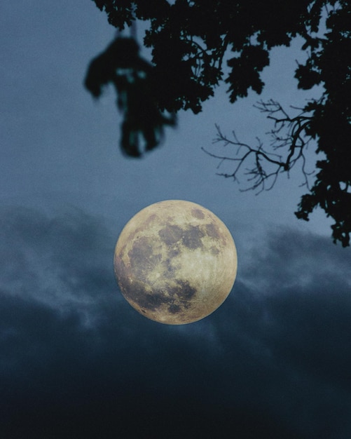 Vista a basso angolo della luna contro il cielo notturno