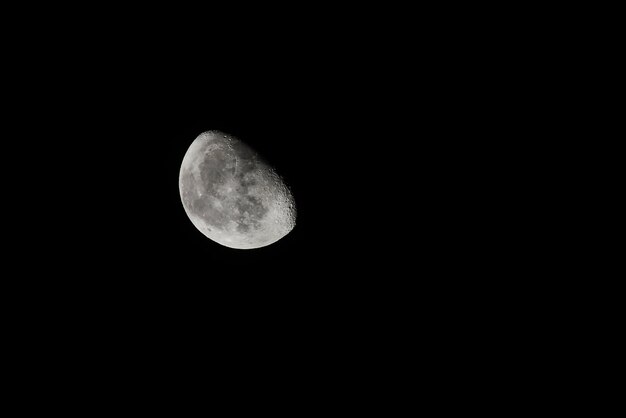 Vista a basso angolo della luna contro il cielo notturno