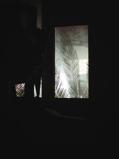 Vista a basso angolo della silhouette di una donna in piedi vicino alla finestra