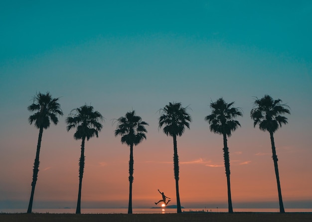 Vista a basso angolo delle palme sulla spiaggia contro il cielo durante il tramonto