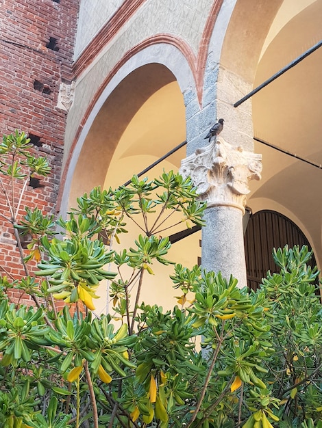 Vista a basso angolo delle piante contro l'edificio