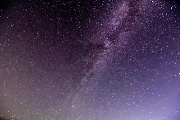 Vista a basso angolo delle stelle nel cielo