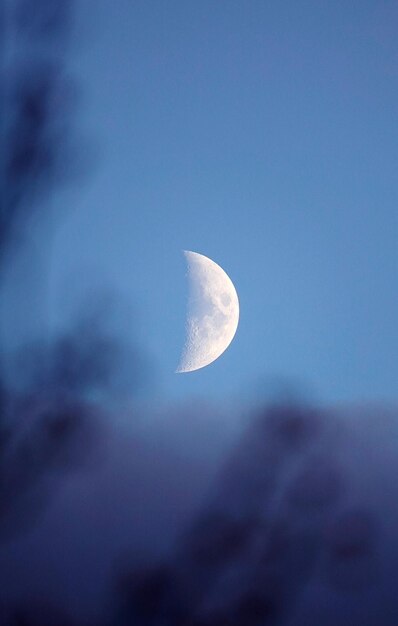 Vista a basso angolo di mezza luna contro il cielo notturno