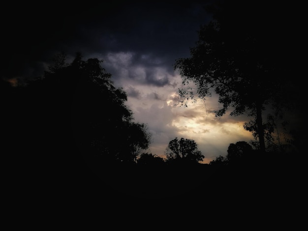 Vista a basso angolo di silhouette di alberi contro il cielo durante il tramonto