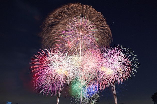 Vista a basso angolo di spettacolo di fuochi d'artificio di notte