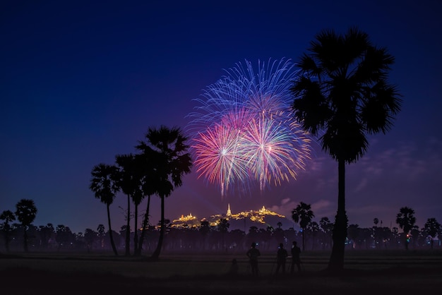 Vista a basso angolo di spettacolo di fuochi d'artificio di notte