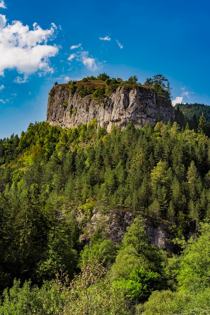 Vista a distanza sulla Ravna stena (roccia piatta) del monte Tara in Serbia a summer