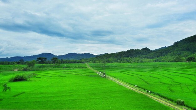 Vista a lunga esposizione del paesaggio indonesiano delle risaie e del cielo delle montagne