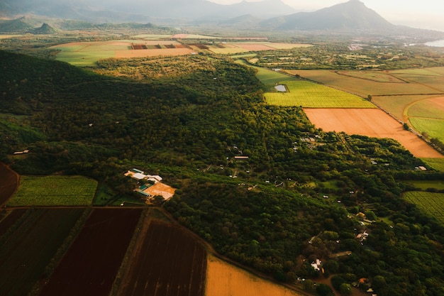 Vista a volo d'uccello di bellissimi campi Isole di Mauritius e montagne.