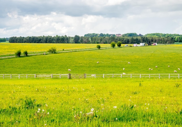 Vista abituale del campo rurale e del cielo nuvoloso in Inghilterra vicino a Stonehenge Salisbury