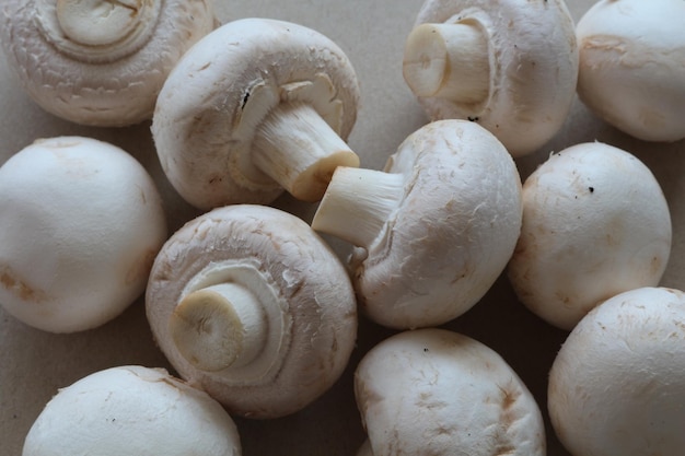 Vista ad alta angolazione dei funghi commestibili su tavola