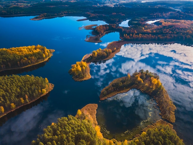 Vista ad alta angolazione del lago e degli alberi