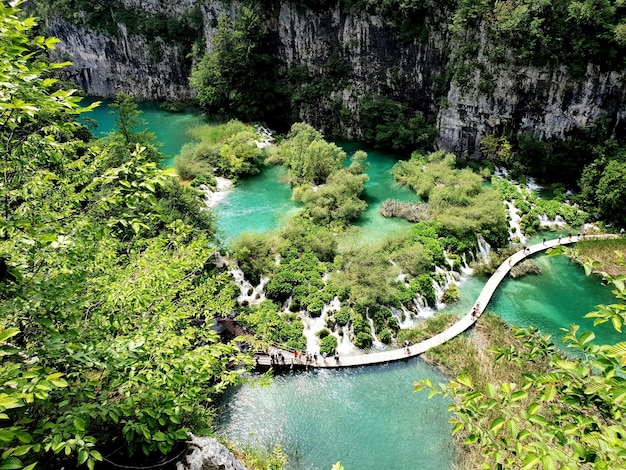 Vista ad alta angolazione del ponte in mezzo al lago e agli alberi