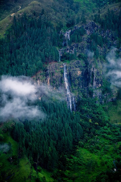 Vista ad alta angolazione della cascata nella foresta nella nebbia