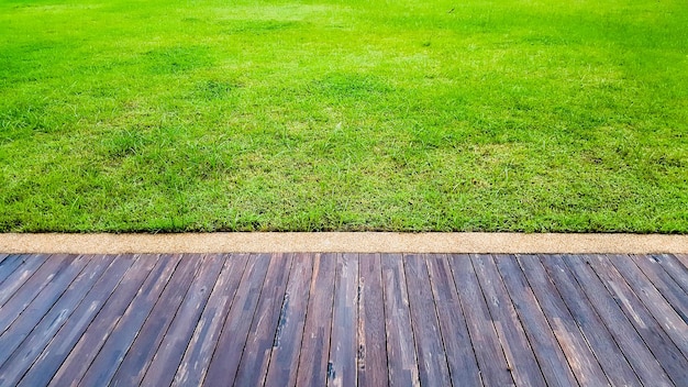 Vista ad alta angolazione della passerella in mezzo alle piante sul campo