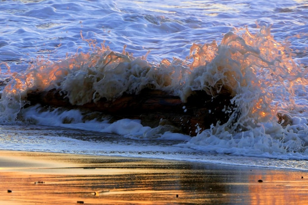 Vista ad alta angolazione della spiaggia