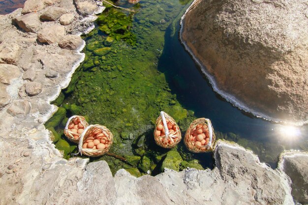 Vista ad alta angolazione della tartaruga nel lago