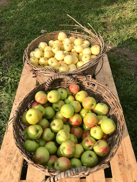 Vista ad alta angolazione delle frutta nel cesto