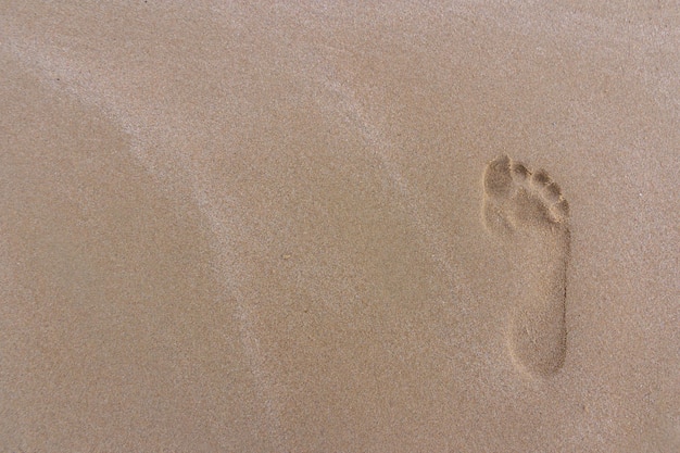 Vista ad alta angolazione delle impronte sulla sabbia della spiaggia