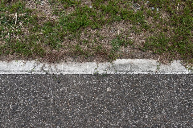 Vista ad alta angolazione delle piante che crescono sulla strada